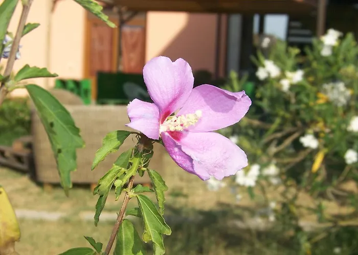 Agriturismo La Nocciolina