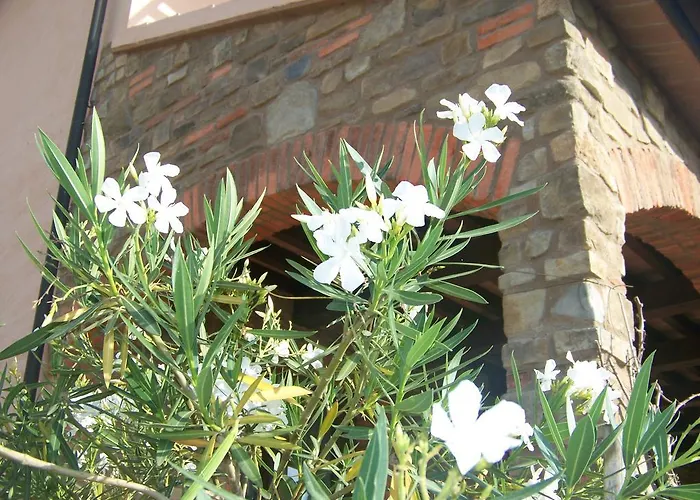 Agriturismo La Nocciolina