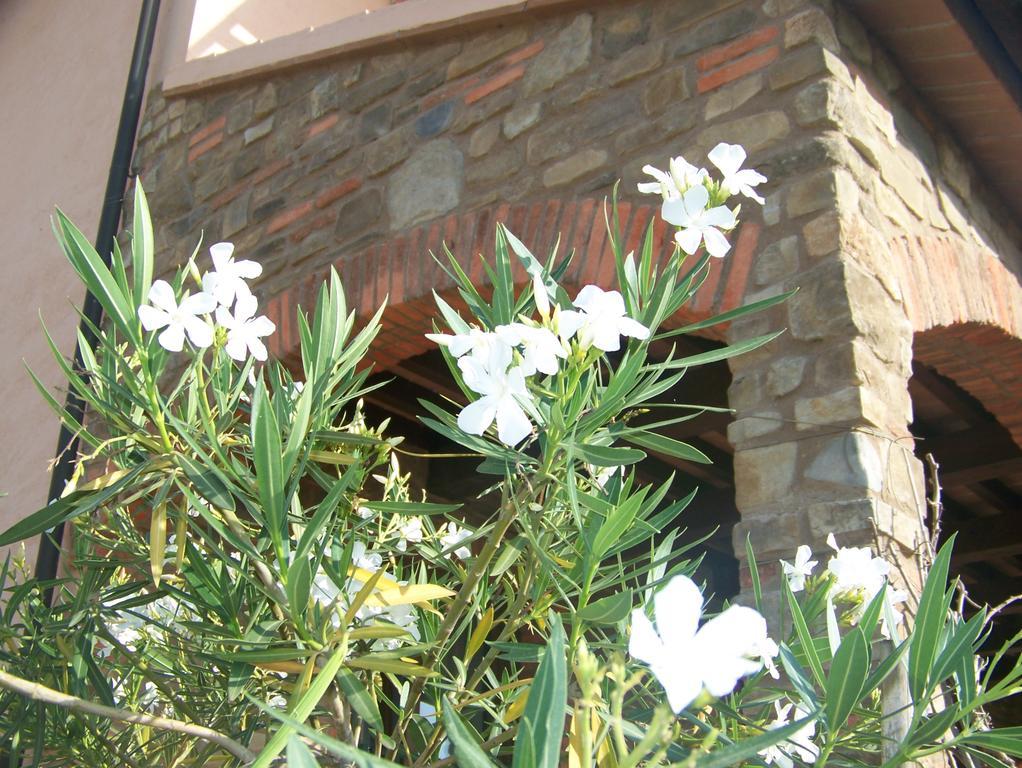 Bauernhof La Nocciolina Venturina Terme